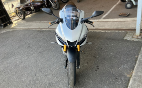YAMAHA YZF-R25 RG74J