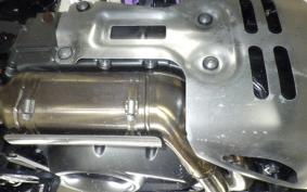 HARLEY ﾊﾟﾝ AMERICA1250S 2024