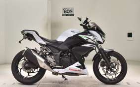 KAWASAKI Z250 2009 ER250C