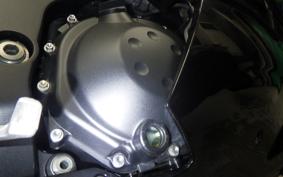 KAWASAKI ZX 1400 NINJA R A 2013