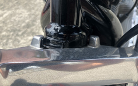 HARLEY XL883L 2009 CR2