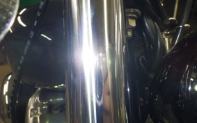 HARLEY FXBB1920 2025