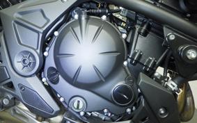 KAWASAKI VERSYS A 2024 LE650H