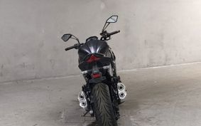 KAWASAKI Z1000 2019 ZXT00W