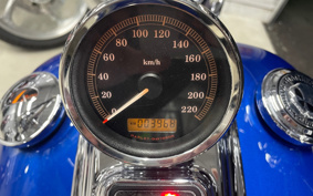 HARLEY  HARLEY FXCWC 2008 JK5