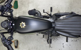 HARLEY XL1200X 2019