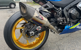 SUZUKI GSX-R1000R ABS 2019 DM11G