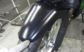 KAWASAKI VERSYS X250Aﾂｱﾗｰ 1983 LE250D