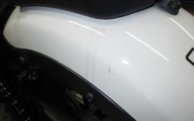 HONDA REBEL 250 A 2023 MC49