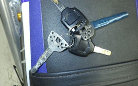 YAMAHA WR250R 2019 DG15J