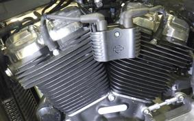 HARLEY FXST1750 2024