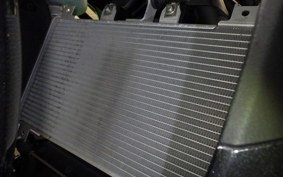 KAWASAKI NINJA 250 2024 EX250Y