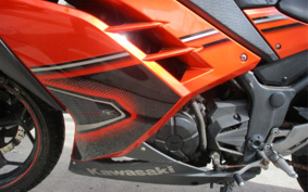 KAWASAKI NINJA 250 EX250L