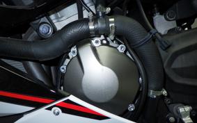KAWASAKI NINJA ZX-6R A 2022 ZX636G