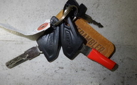 DUCATI SCRAMBLER ICON 2015