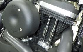 HARLEY XL883N 2016