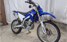 YAMAHA WR250R DG15J