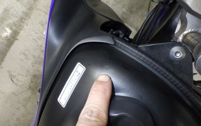 YAMAHA WR250X 2022 DG15J