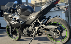 KAWASAKI NINJA 250 EX250P