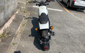 HARLEY X500 2023 W5B