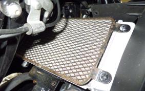 SUZUKI GSX250RA 1991