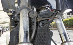 KAWASAKI ZZ-R250 EX250H