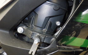 KAWASAKI NINJA 1000SX 2020 ZXT02K