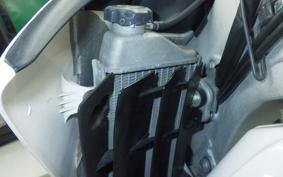 YAMAHA WR250R 2023 DG15J