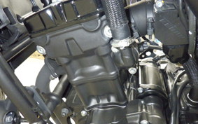 HONDA REBEL 250 S 2007 MC49