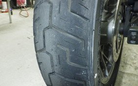 HARLEY RH975S 2025