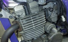 YAMAHA TT250R RAID 4GY