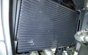 HONDA NX400 2025 NC65