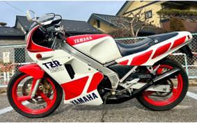 YAMAHA TZR250-1 1KT