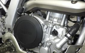 YAMAHA WR250R DG15J
