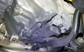 HONDA C110 SUPER CUB 2019