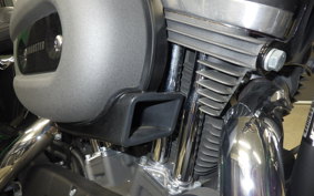HARLEY XL1200CX 2020