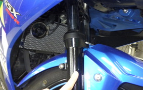 SUZUKI GSX250RA 2022