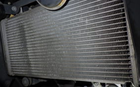 KAWASAKI NINJA 250 EX250L