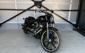 HARLEY FXBRS 2019 YHK