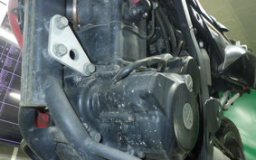 KAWASAKI KLX250D TRACKER X 2025 LX250V