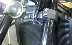 KAWASAKI Z900RS 2024 ZR900K