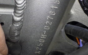 KAWASAKI ZZ-R250 EX250H