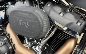 HARLEY FXFBS 2026 YLK