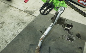 KAWASAKI KDX250SR 2025 DX250F