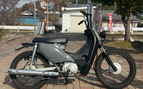 HONDA SUPER CUB50 AA04