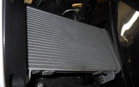 YAMAHA YZF R-3 2020 RH13J