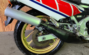 YAMAHA RZV500 R 1984 51X