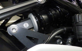 KAWASAKI Z900RS 2025 ZR900K