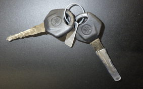 YAMAHA MT-03 ABS 2025 RH25J