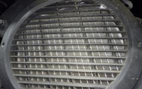 HONDA LEAD 110 1987 JF19